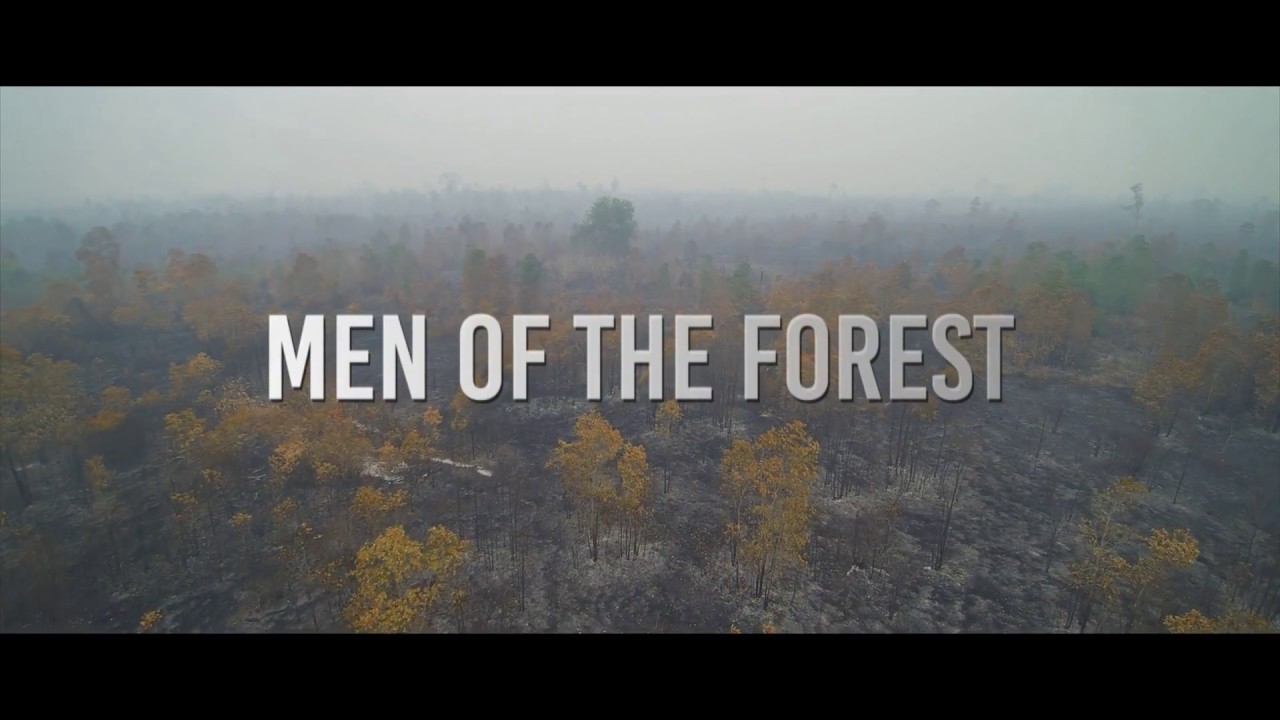 MEN OF THE FOREST TRAILER - DOCUMENTARIO NATURA