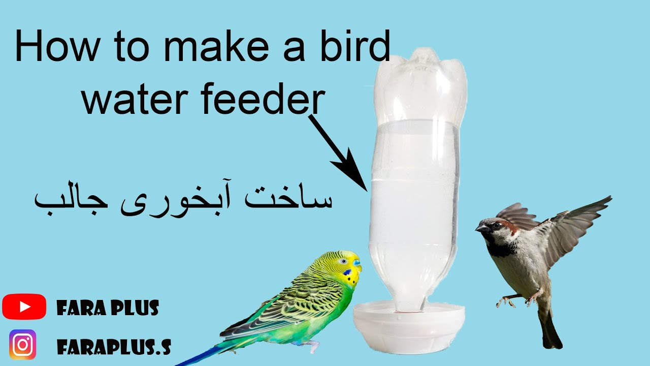 ساخت آبخوری اتوماتیک مرغ و پرنده ساده ولی جالب