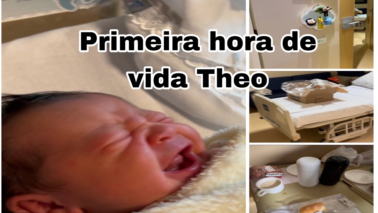 AS PRIMEIRAS HORAS DE VIDA THEO HOSPITAL VITÓRIA ANÁLIA FRANCO