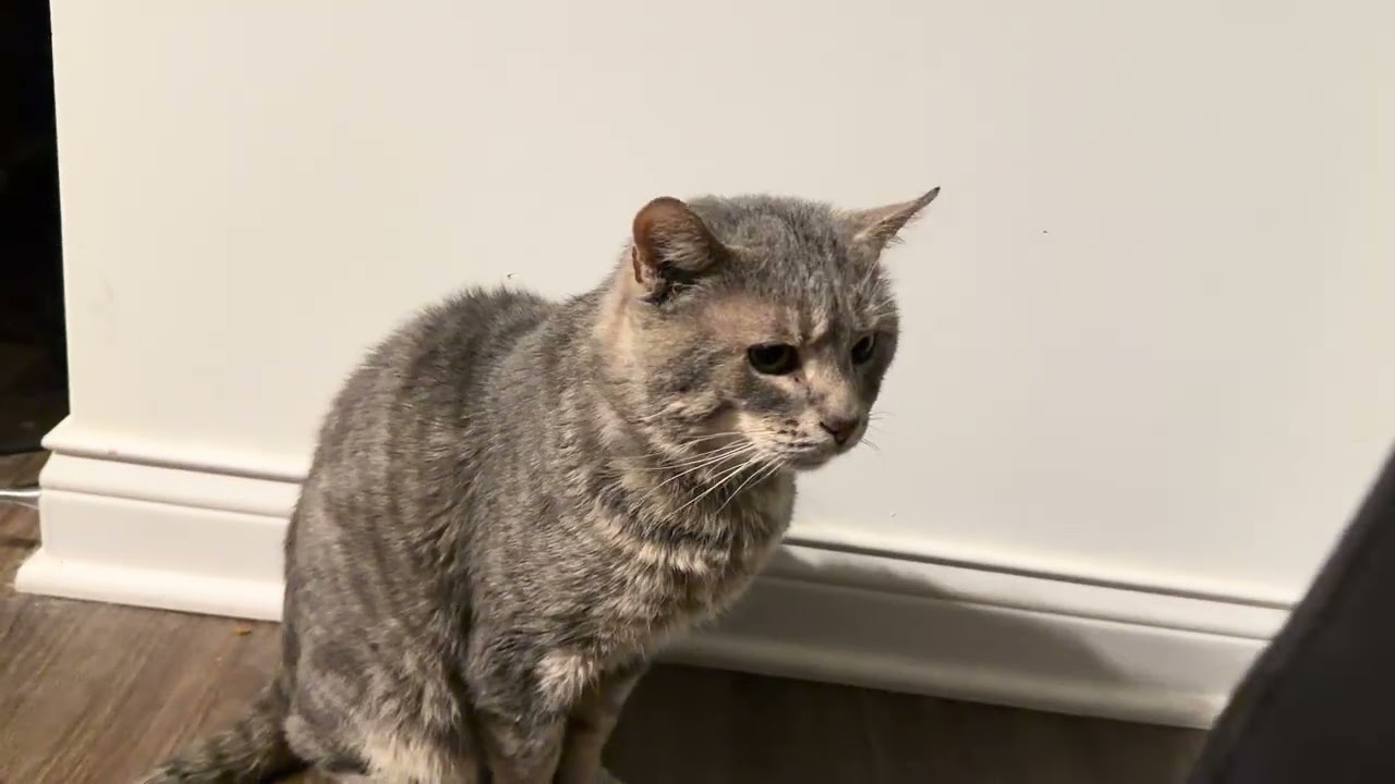 From love me to i hate him