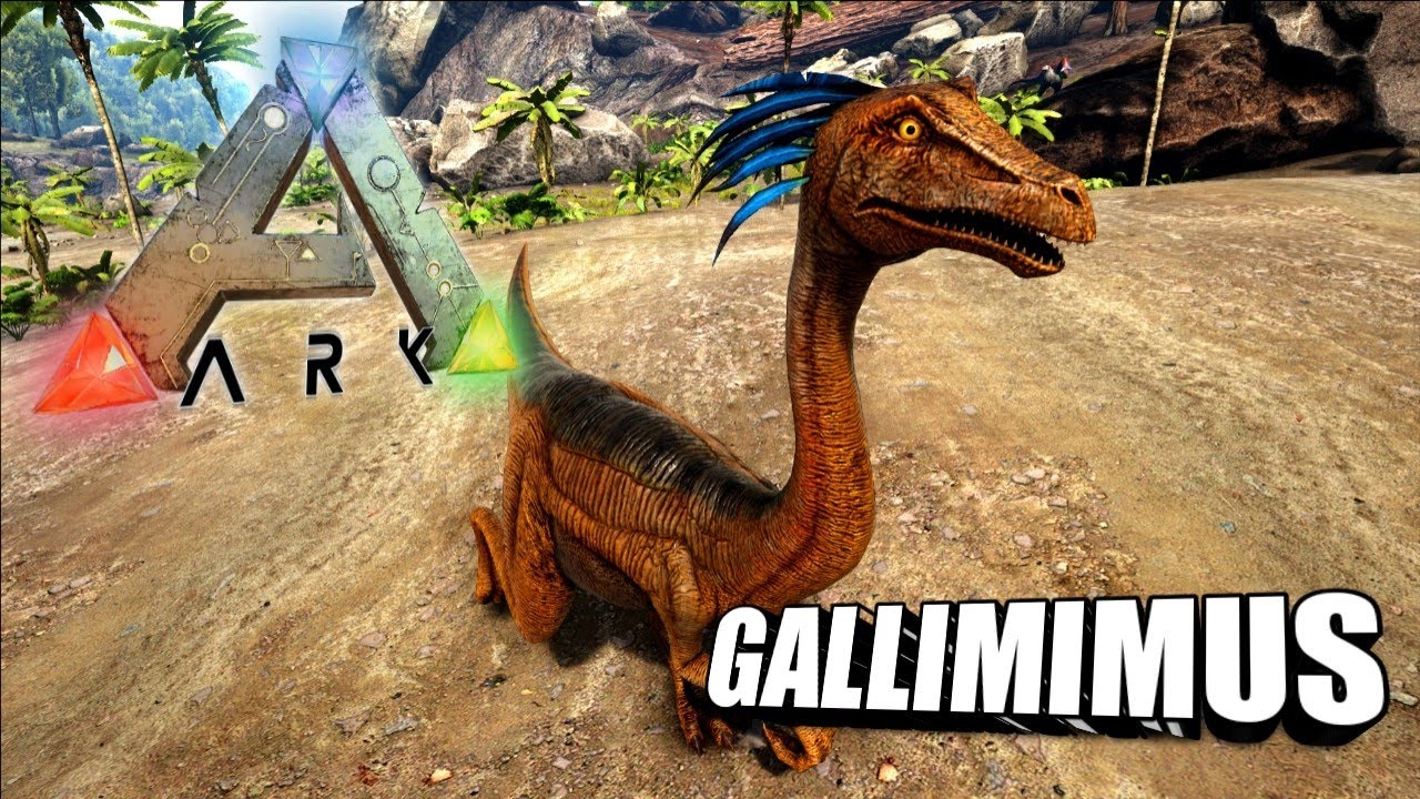 Taming A Gallimimus | Ark Survival Evolved | The Island