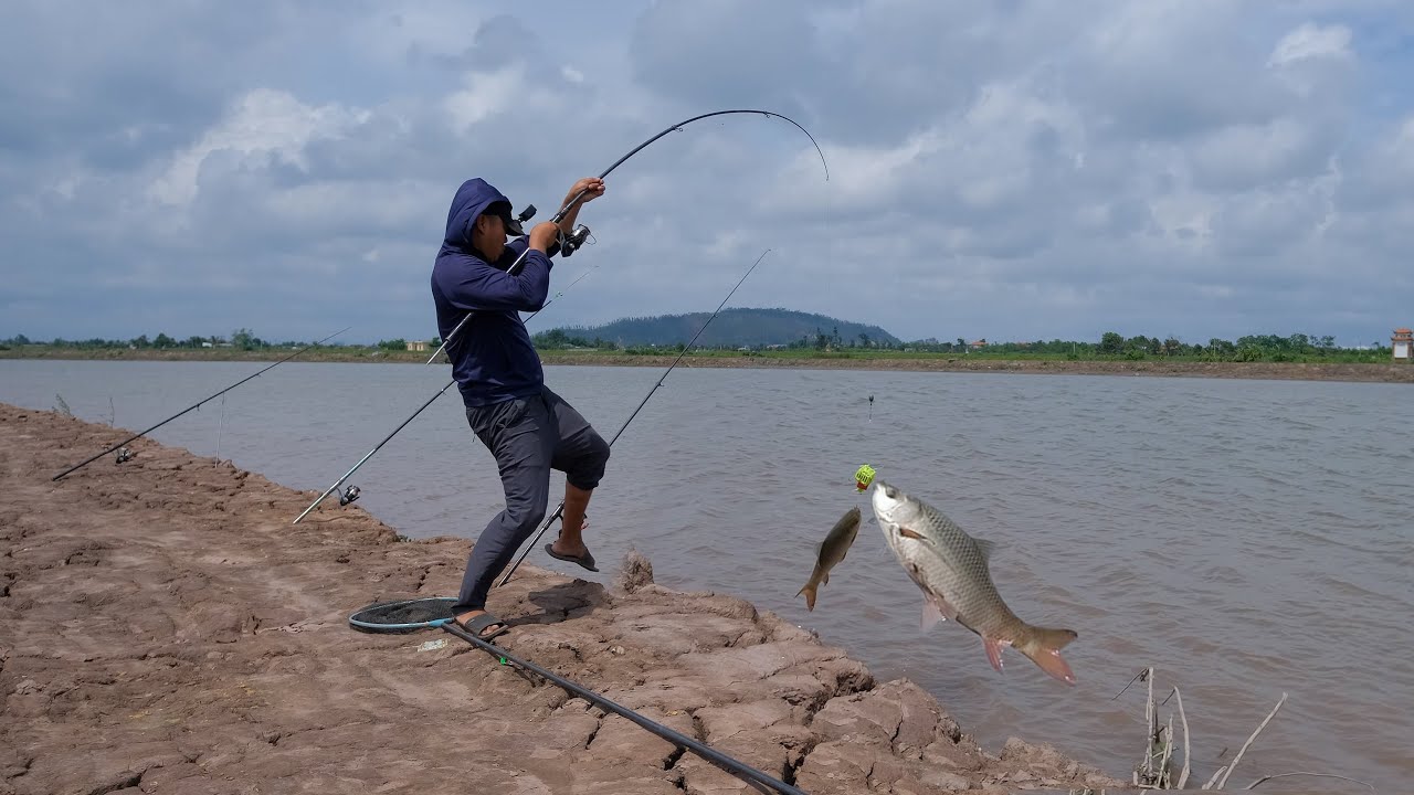 Câu lăng xê cá ăn liên tục giật một phát hai con luôn