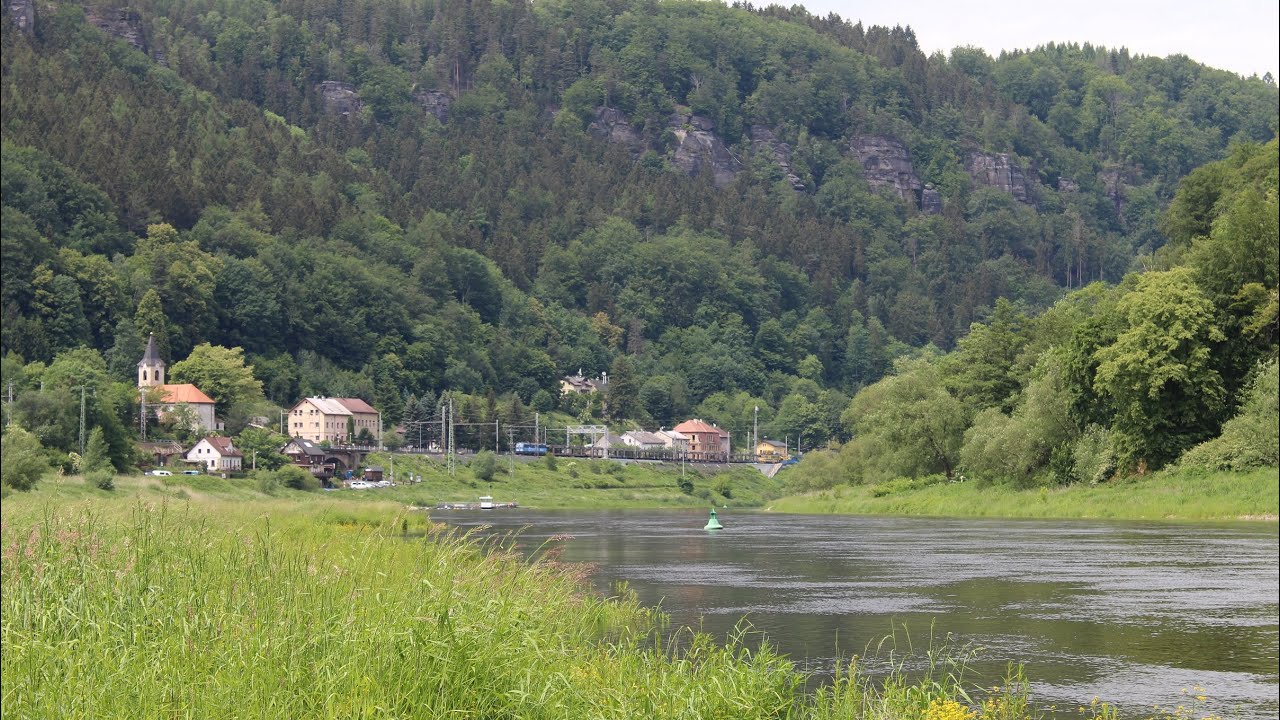 Vlaky v údolí Labe 9.6.2020 | Dolní Žleb - Děčín-Čertova voda
