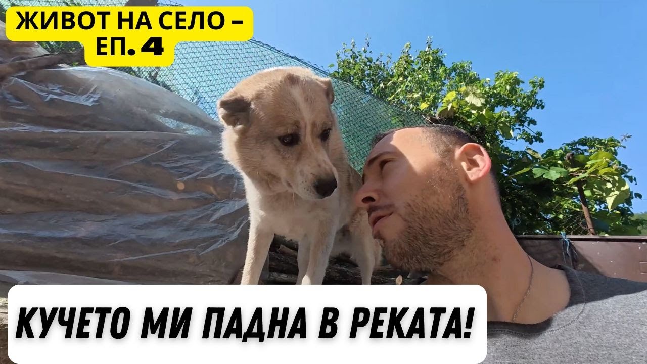 Живот на Село - Епизод 4: Един Ден с Мен + Куче в Беда! 🐶
