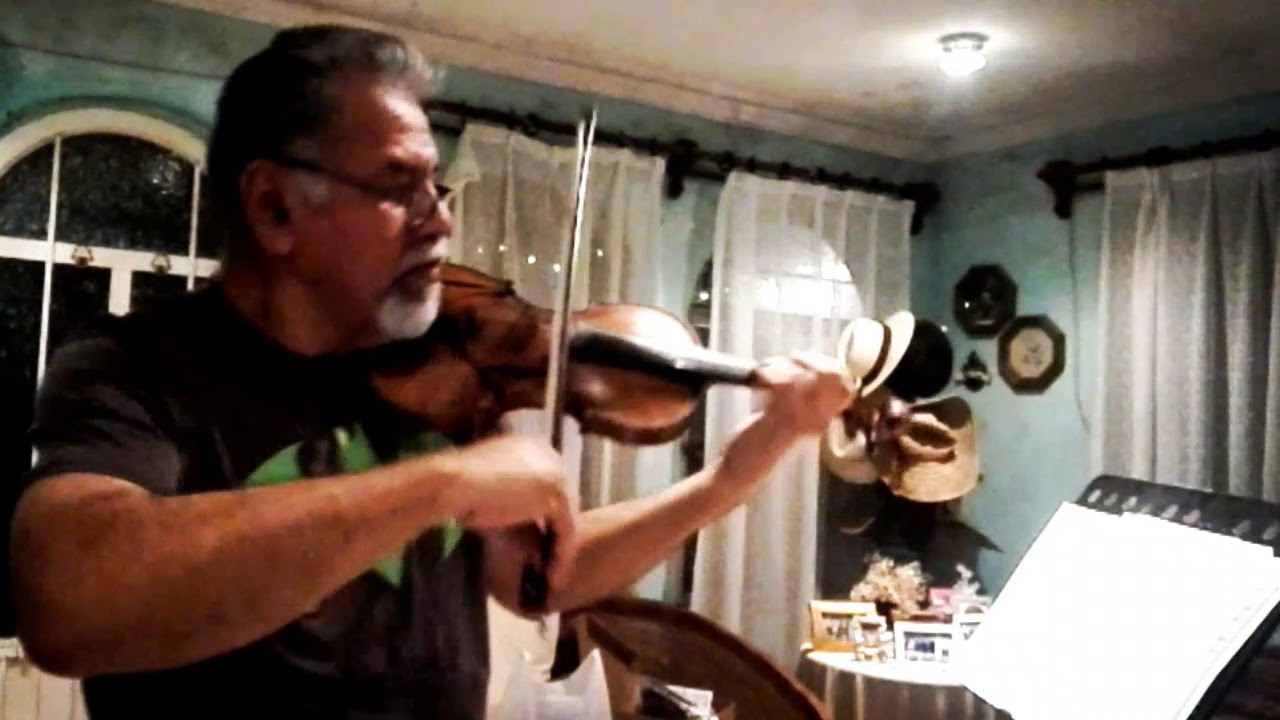 Ondas del Danubio (J. Ivanovici) - Violín: Joram Raglem