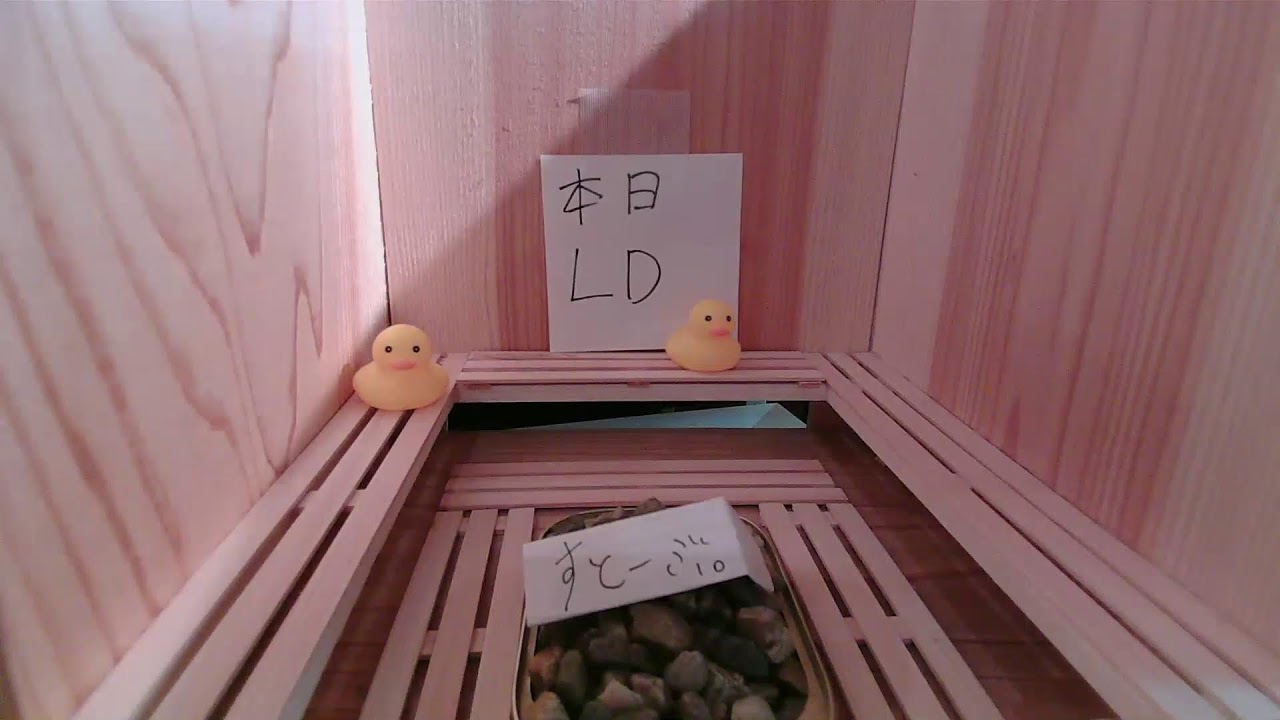 サウナゆげ蔵リアルタイム混雑情報【第2サウナ室ライブカメラ】