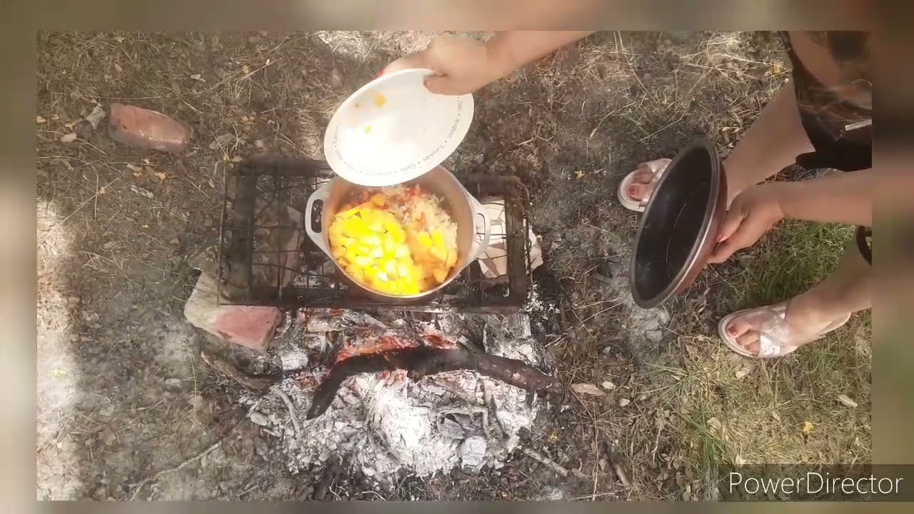 GUISO DE ZAPALLO  👩‍🍳🫑🍯🥣  , QUIBEBE