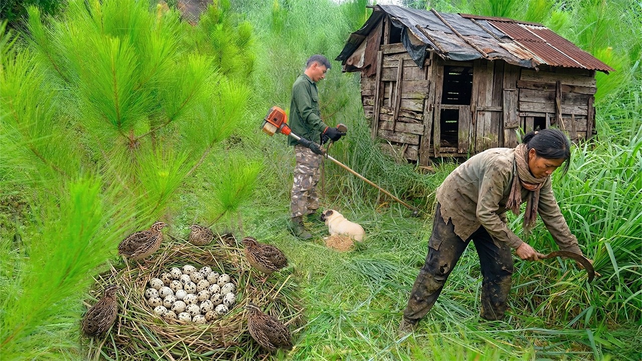 Officer Helps a Poor Woman Clean an Abandoned Garden & Accidentally Finds Many Quail Eggs for Dinner