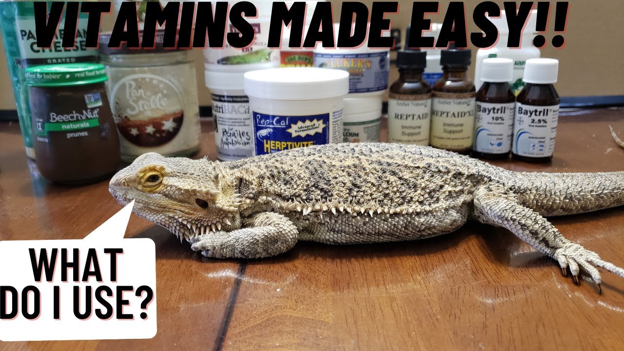 USING THE WRONG VITAMINS FOR BEARDED DRAGONS AND OTHER LIZARDS | REPTILE VITAMINS EXPLAINED