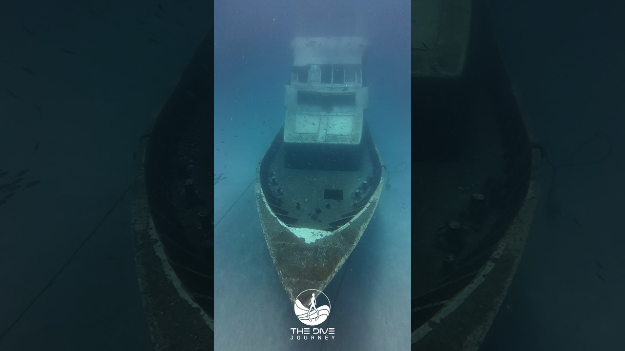 THE DIVE JOURNEY | Private Longtail Boat to Racha Island🏝