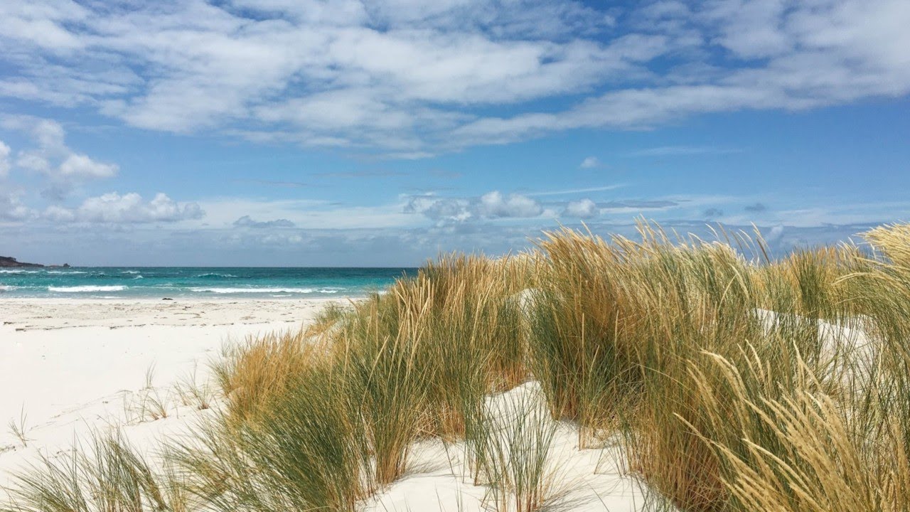 Man missing after shark attack at Perth beach