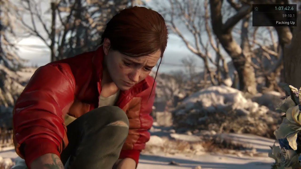 THIS IS N0T A SPEEDRUN || the last of us 2 || ep 2
