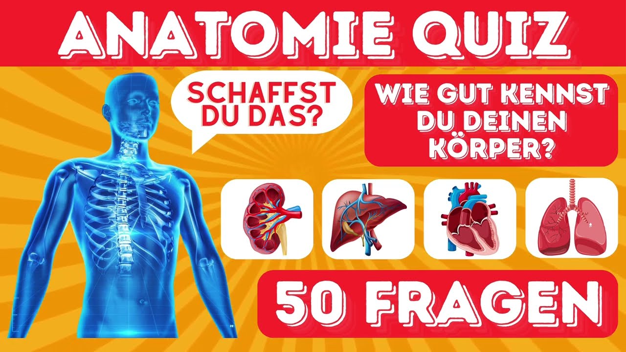 Wie gut kennst du deinen Körper? | Das ultimative Anatomie-Quiz! 🧠🦴