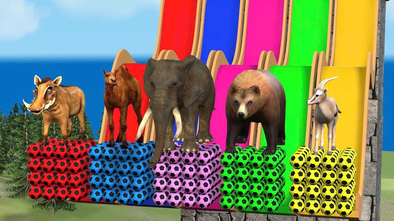Long Slide Game With Elephant, Boar, Camel, Bear, Antelope - 3D Animal Games - Funny 3D Animals