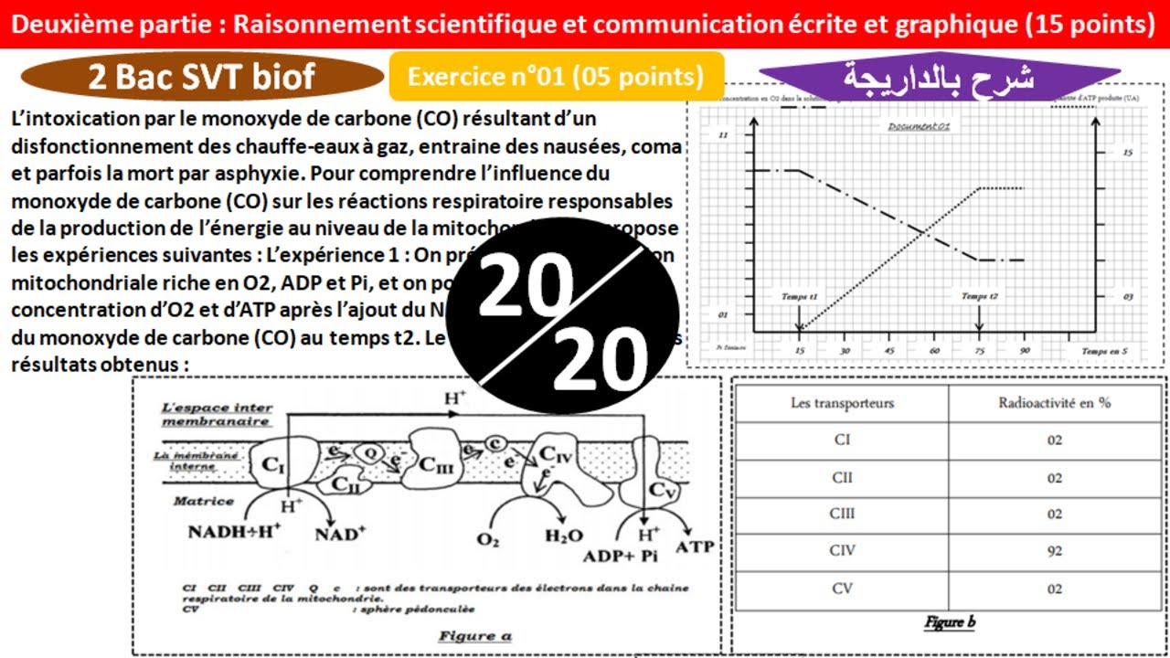 Contrôle 1 svt 2 bac svt BIOF (شرح بالداريجة)