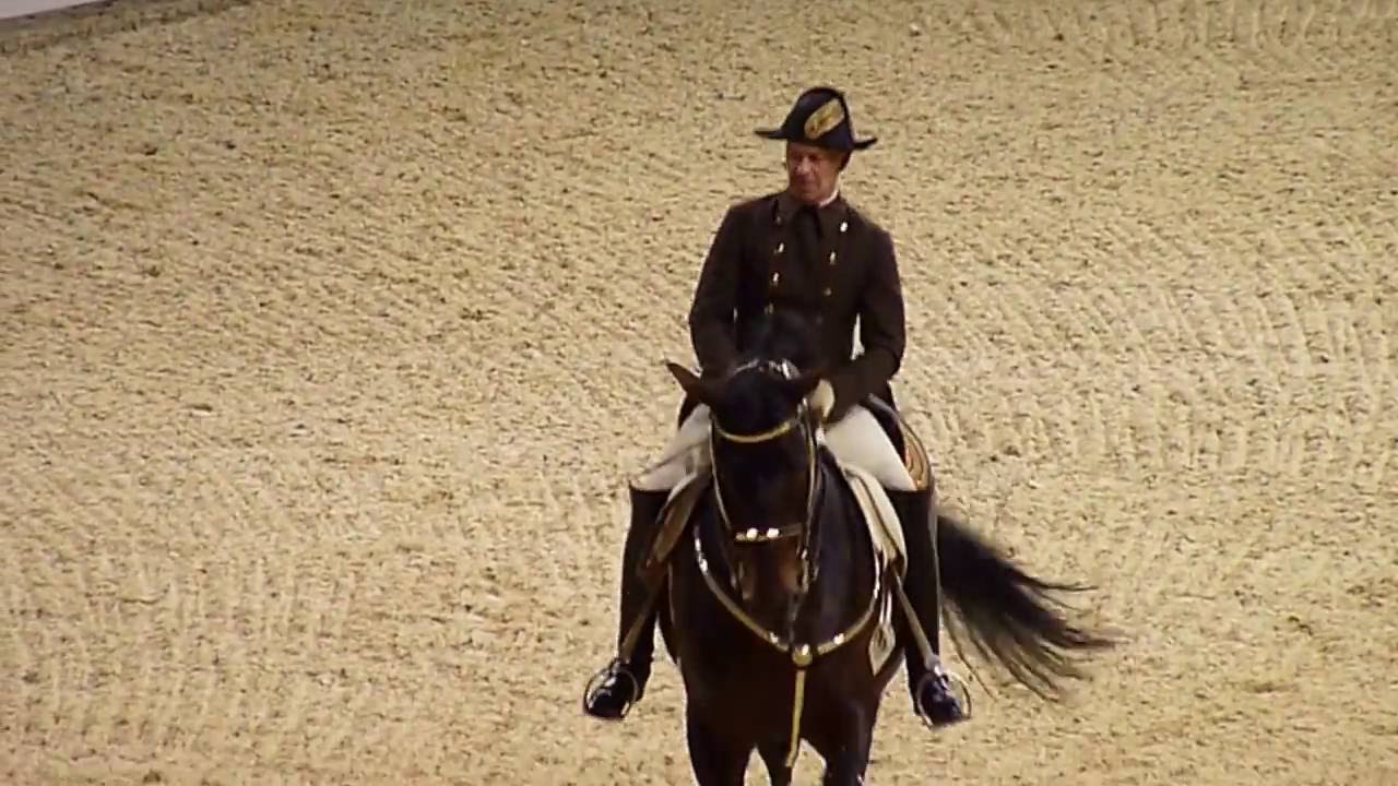 The Spanish Riding School of Vienna 02