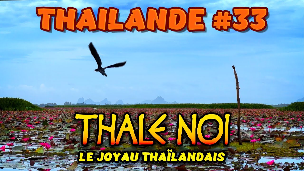 THALE NOI : LE JOYAU THAÏLANDAIS  #thailande #thaïlande