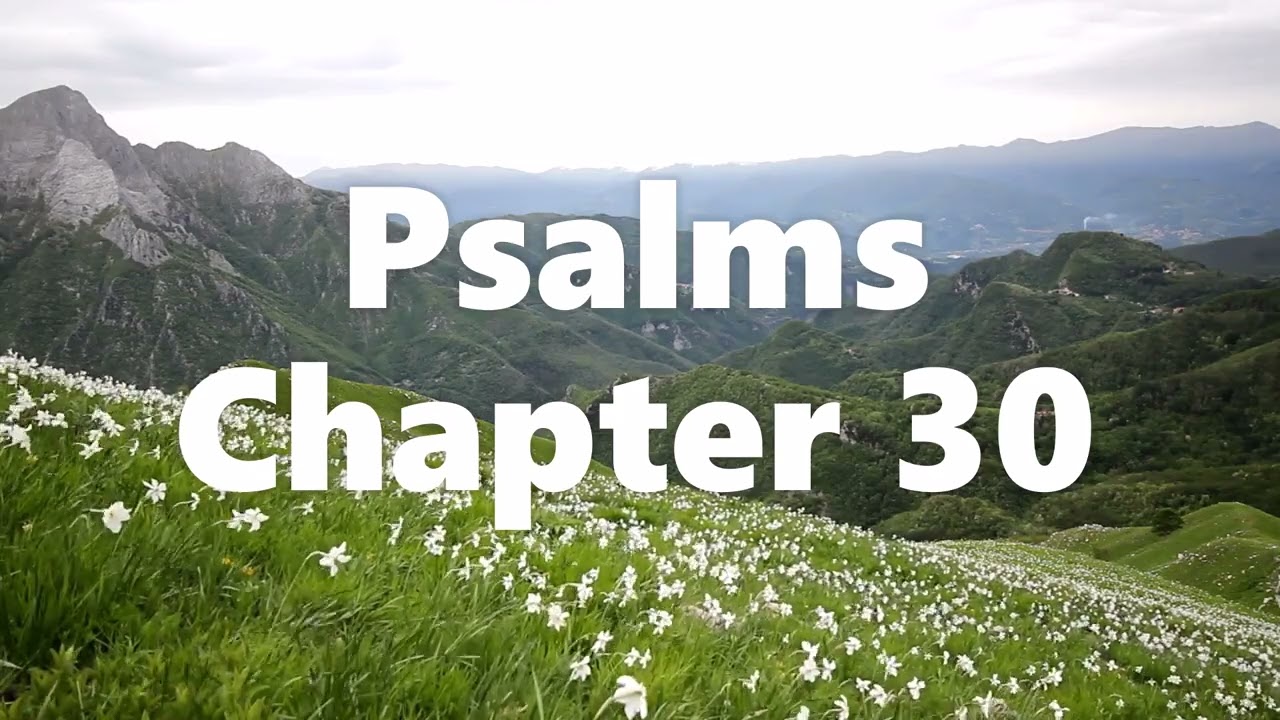 The Book of Psalms Chapter 30 - New King James Version (NKJV) - Audio Bible