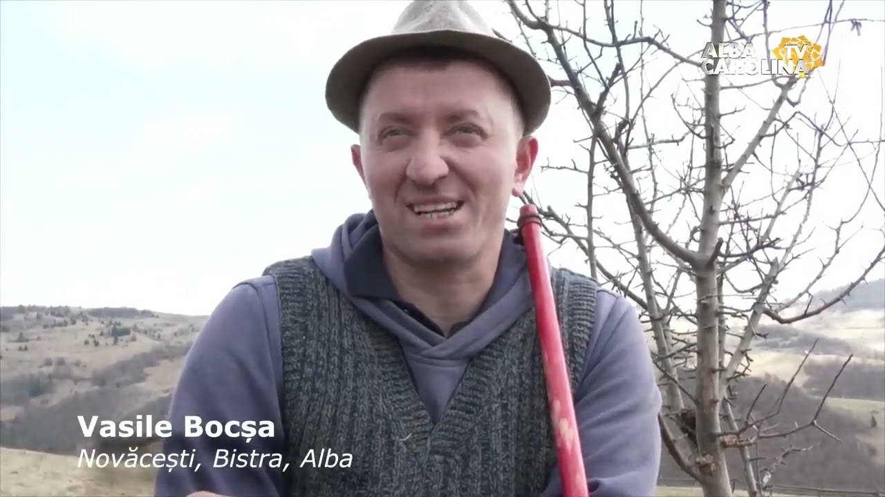 Satul cu 7 oameni.  Novăcești, Bistra,  județul Alba
