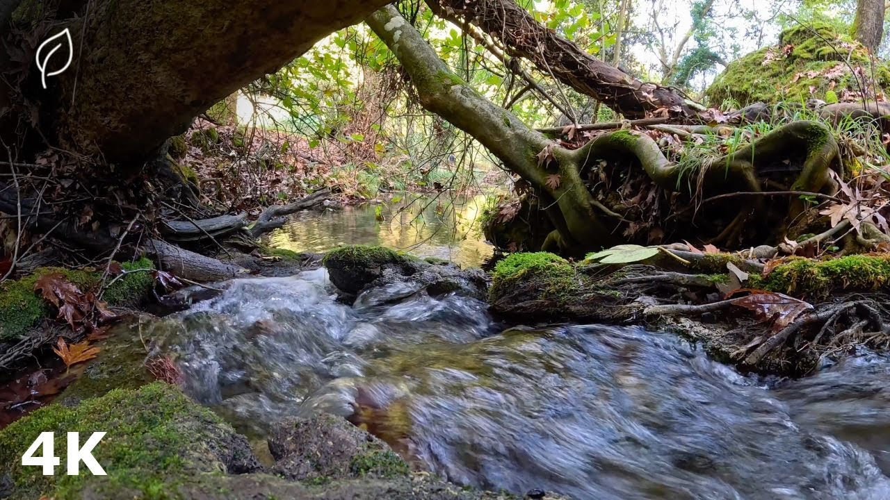 Blissful River | Music for Deep Meditation, Relaxation & Healing (4K)