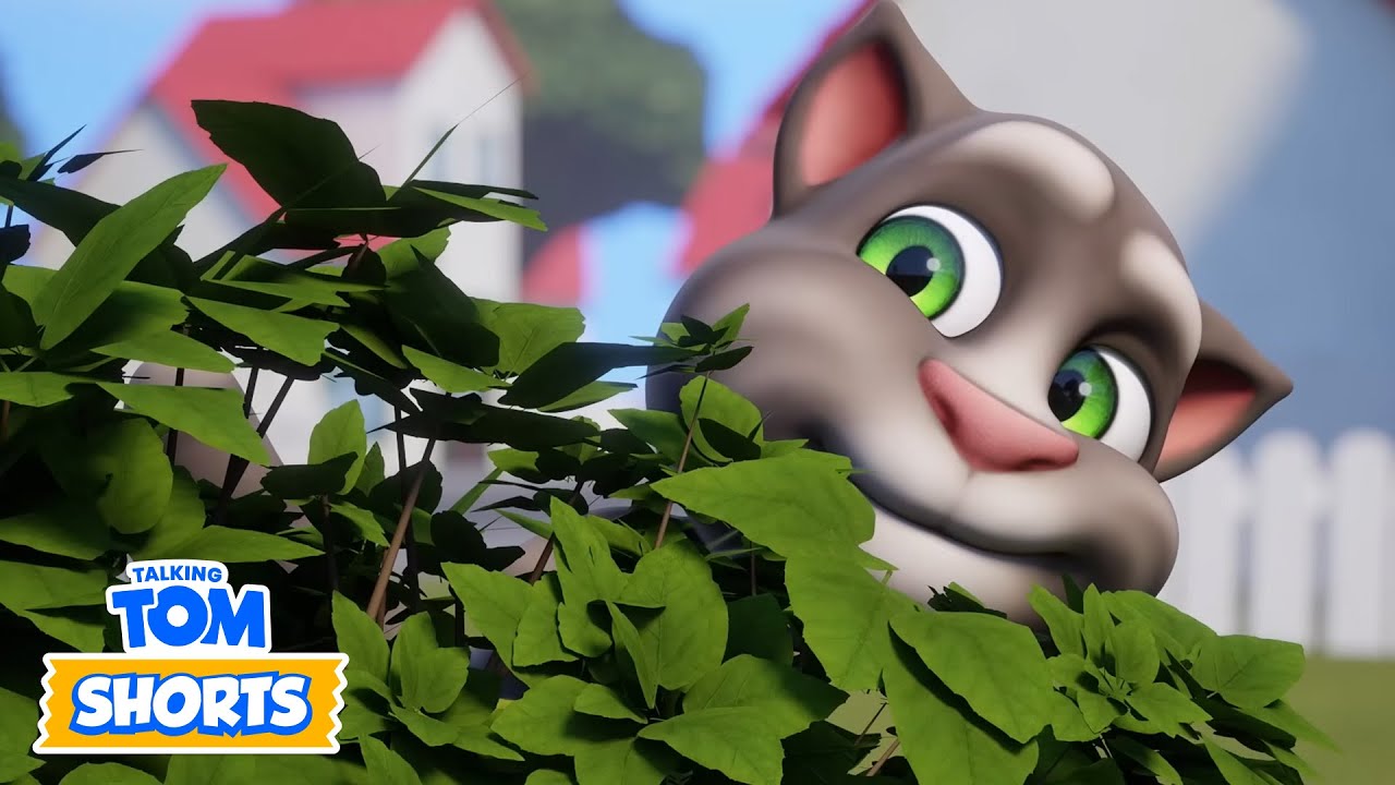 Talking Tom | بطل لعبة الاختباء | حلقات كاملة | وجوه سخيفة