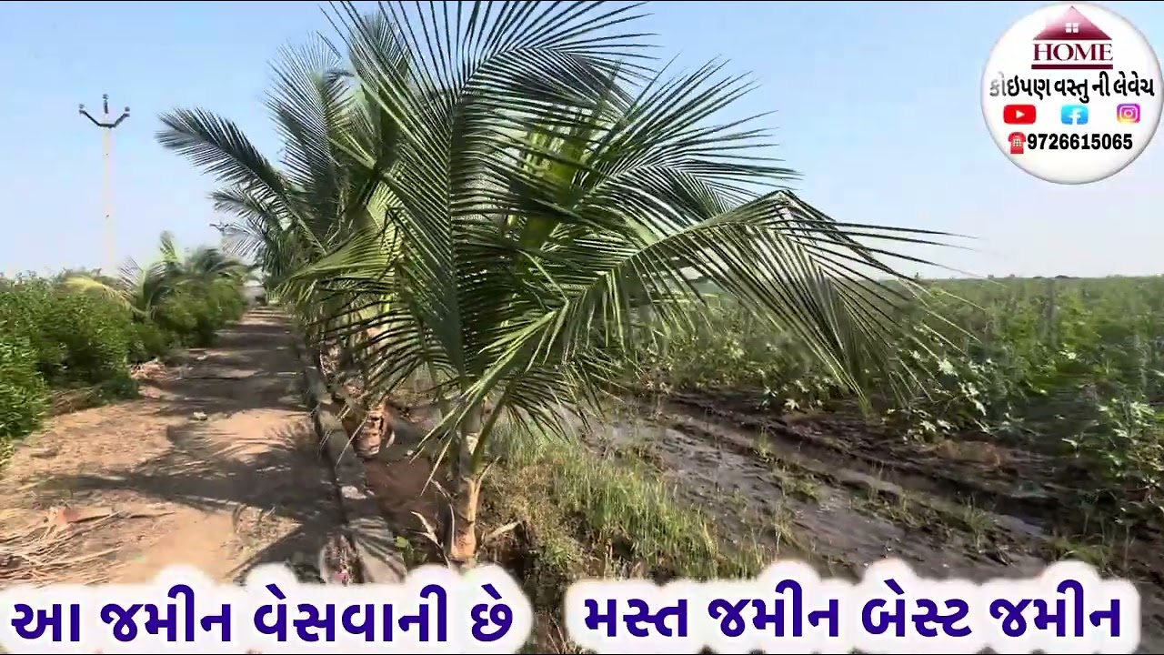 આ જમીન વેસવાની છે ત્રણ પાણી જૂની સરત ની જમીન # upaleta #junagadh #rajkot #gujrat #amdavad #mubai #
