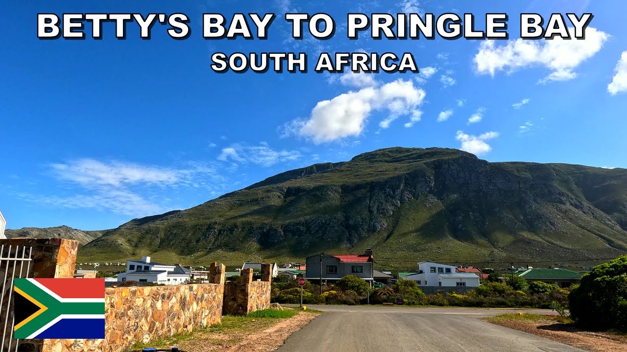 DRIVING from BETTY'S BAY to PRINGLE BAY in SOUTH AFRICA * 4K (60fps)