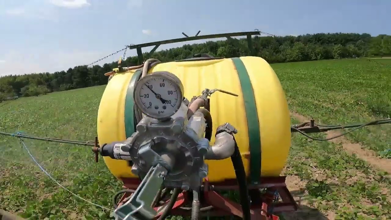 Non GMO Soybean Crop Care