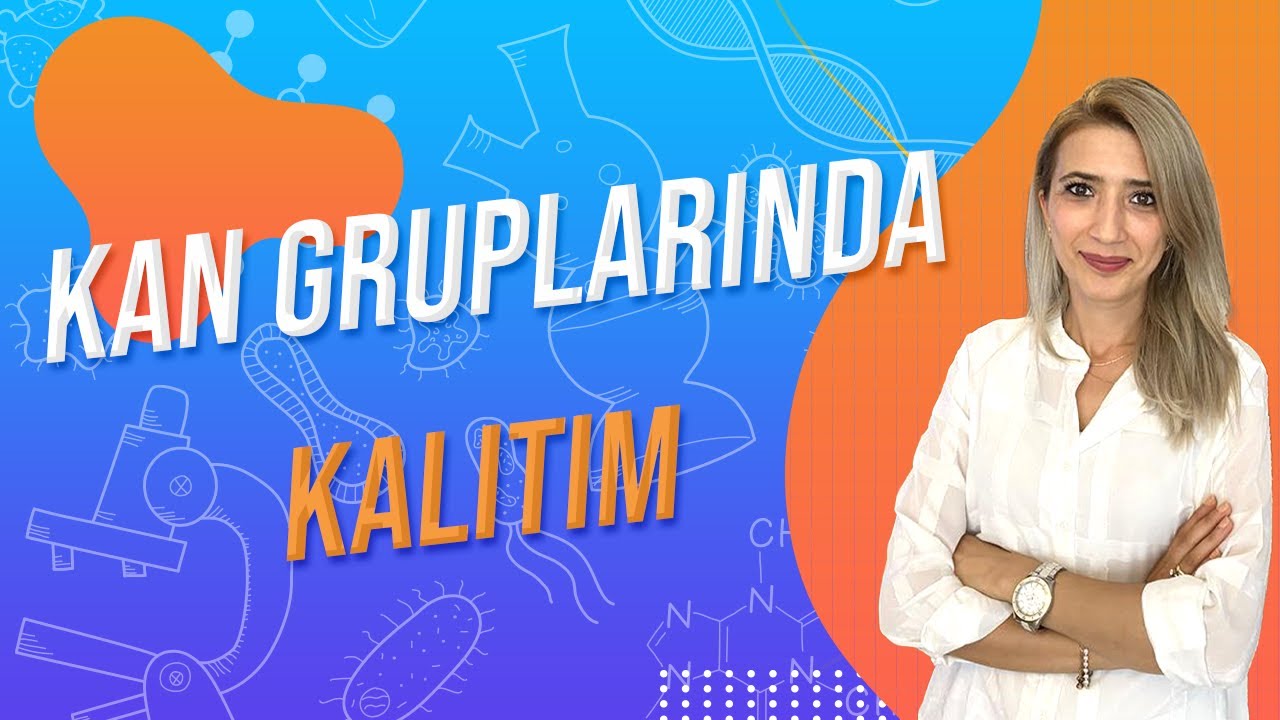 (38.DERS) KAN GRUPLARINDA KALITIM | TYT 10.SINIF l Seda Hoca Biyoloji 🤗