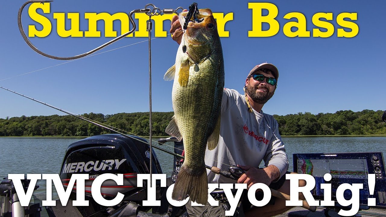 Summer Bass Fishing Rock & Weeds (VMC Tokyo Rig)!