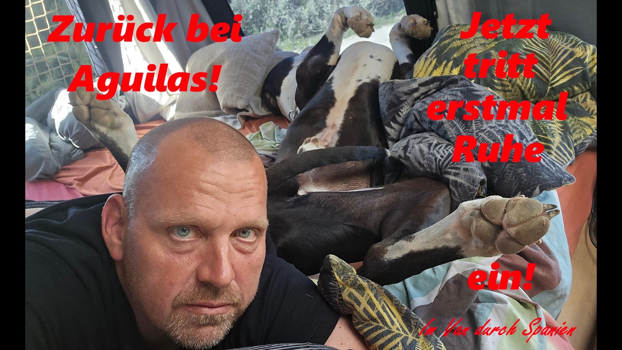 San Juan de los Terreros. Für mich einer der besten Orte mit Hund. | Vanlife mit Deutscher Dogge