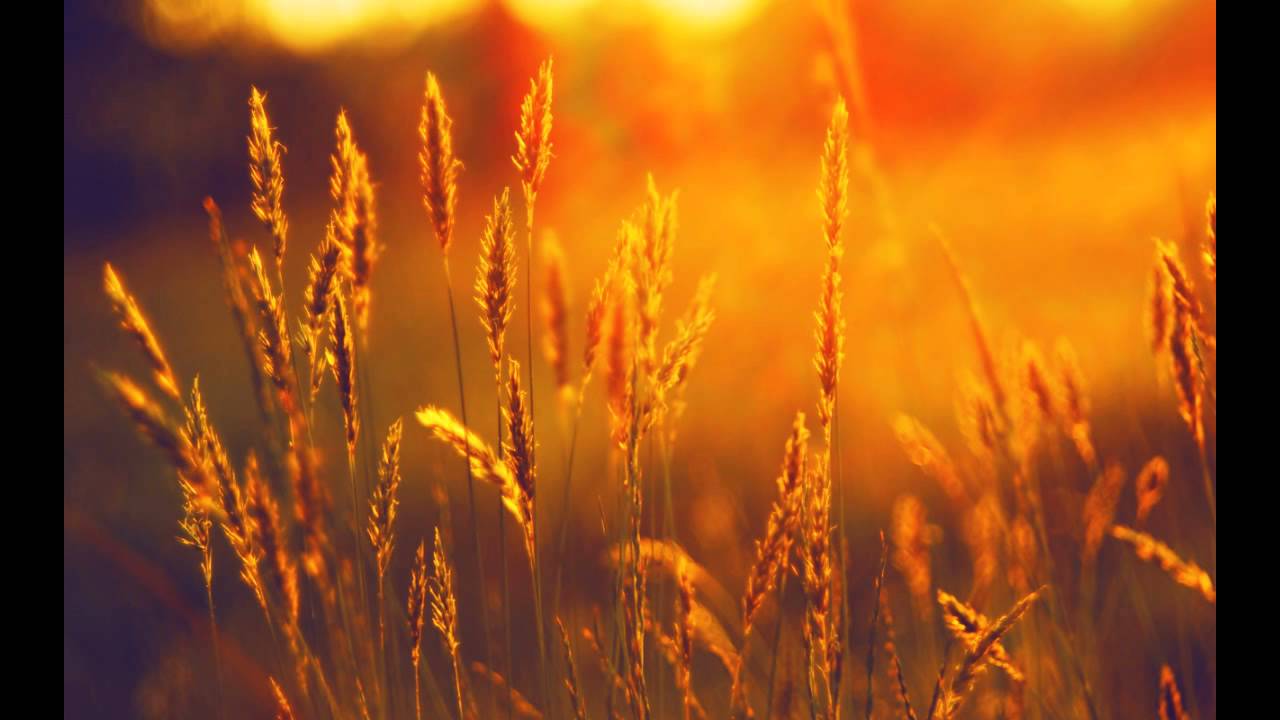 UDM - Under the sun (original mix)