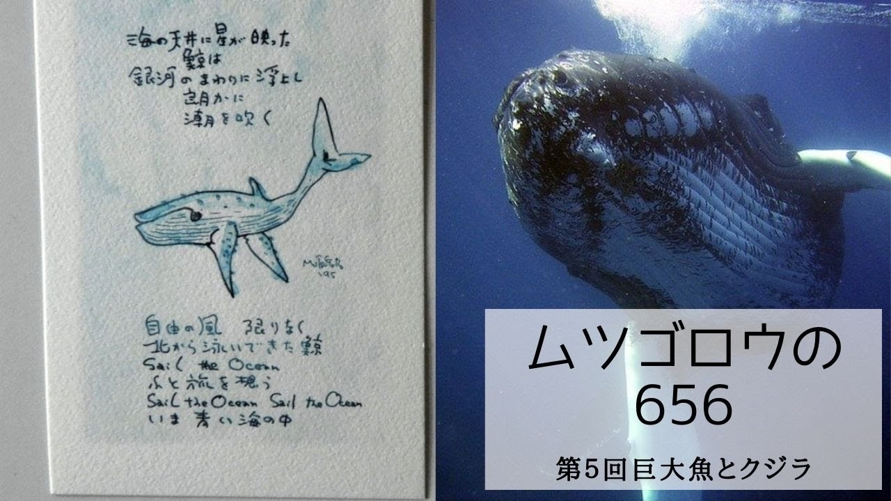ムツゴロウ、クジラの口に入る。