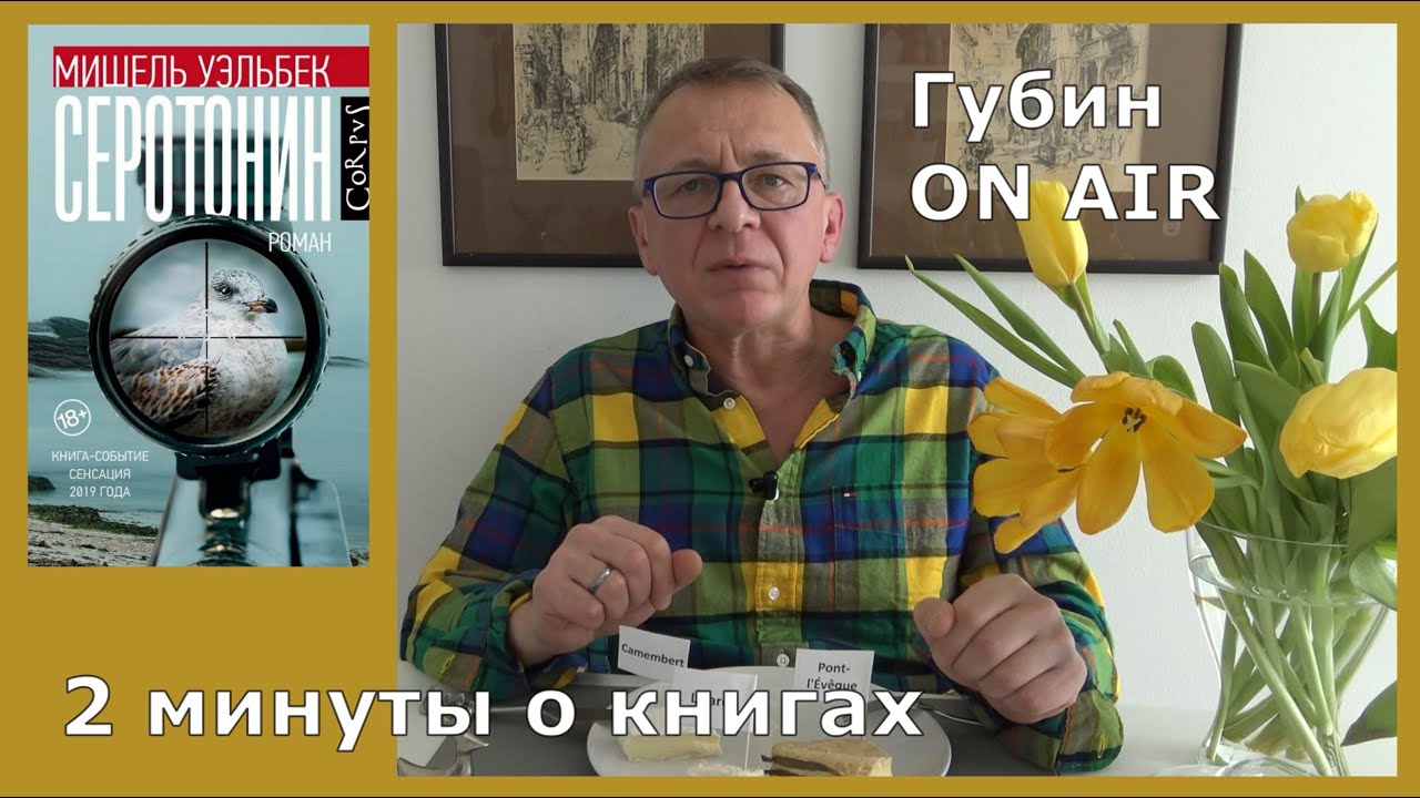 Мишель Уэльбек, 