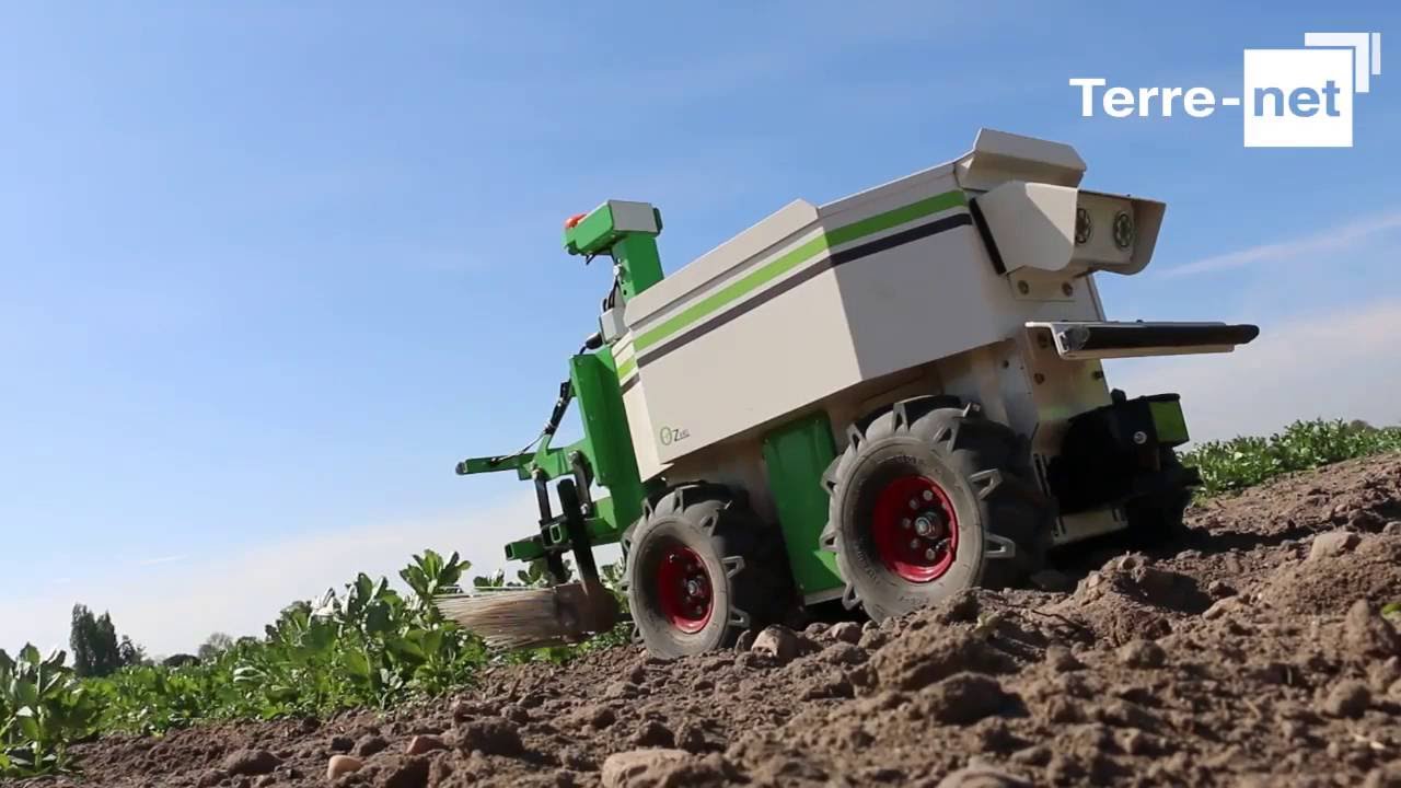 Reportage de Terre Net : un agriculteur utilisant Oz, le robot de désherbage