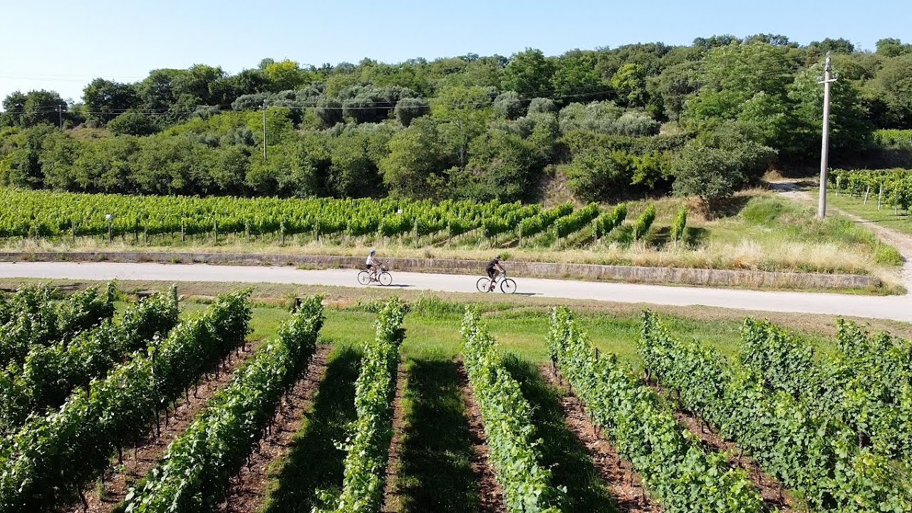 Anello ciclabile Terre del Custoza - [ Valeggio s/M - Custoza ]