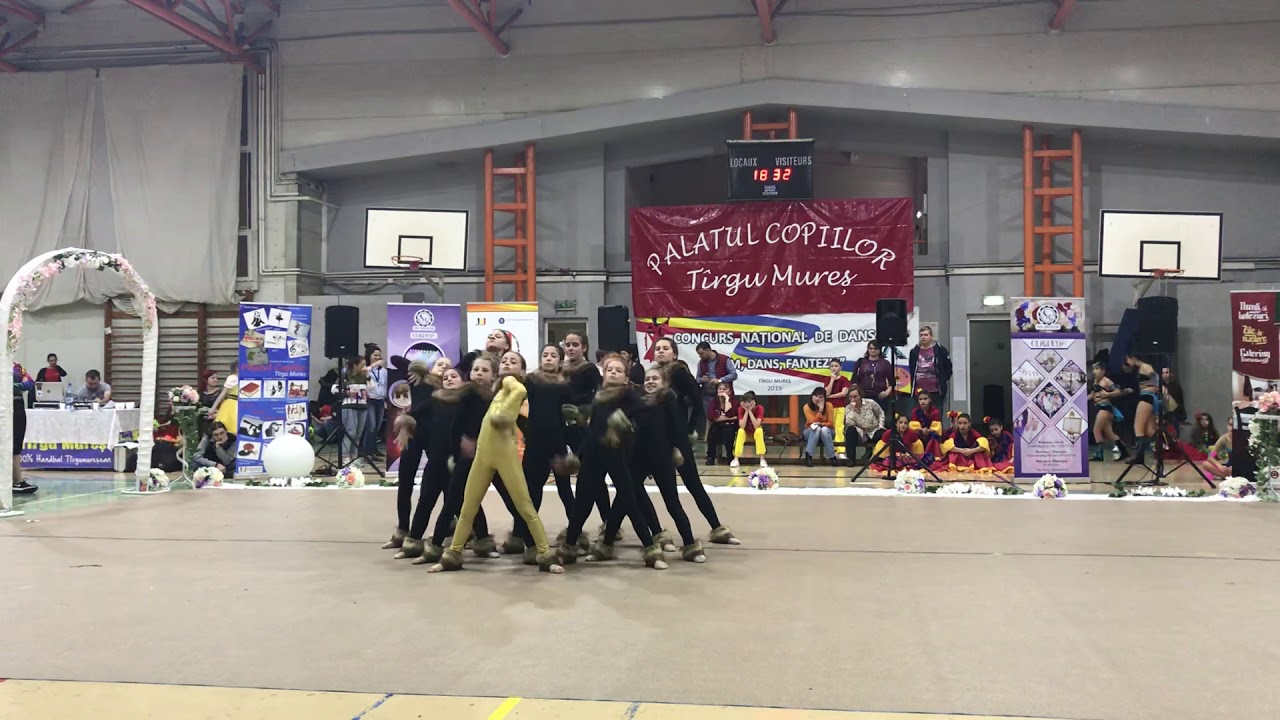 Spirit - Lion King - Beyonce - AcroGirl Tg. Mures