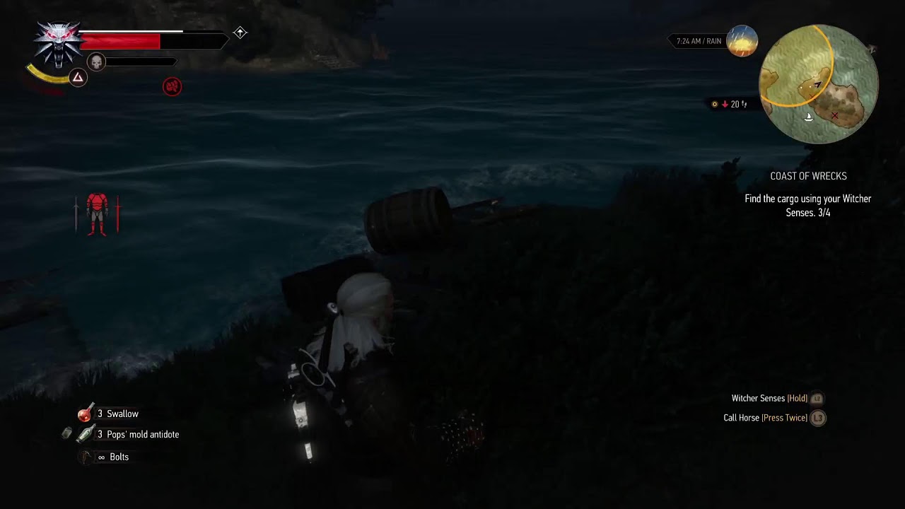 Witcher 3 wild hunt