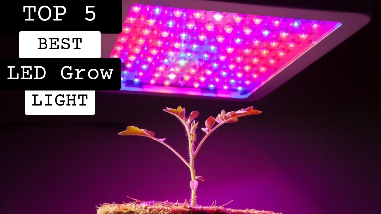 TOP 5; Best Led Grow Light 2024