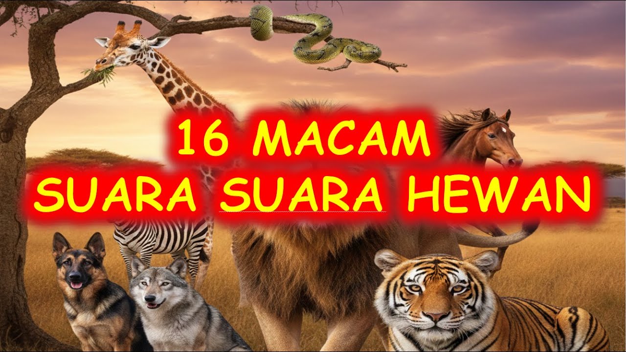 Macam Macam Suara Hewan, Suara Singa, Suara Harimau, Suara Jerapah, Suara Kuda, Suara Kambing #kids