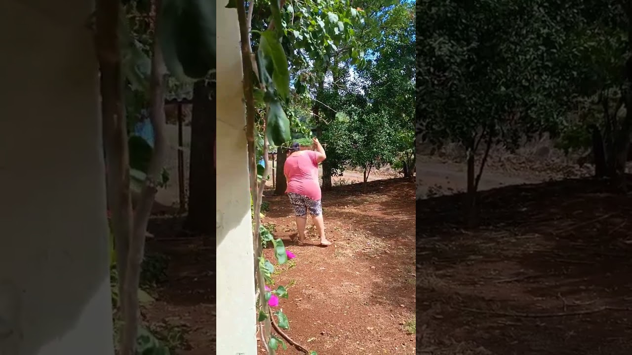 quando tem que acontecer , simplesmente acontece