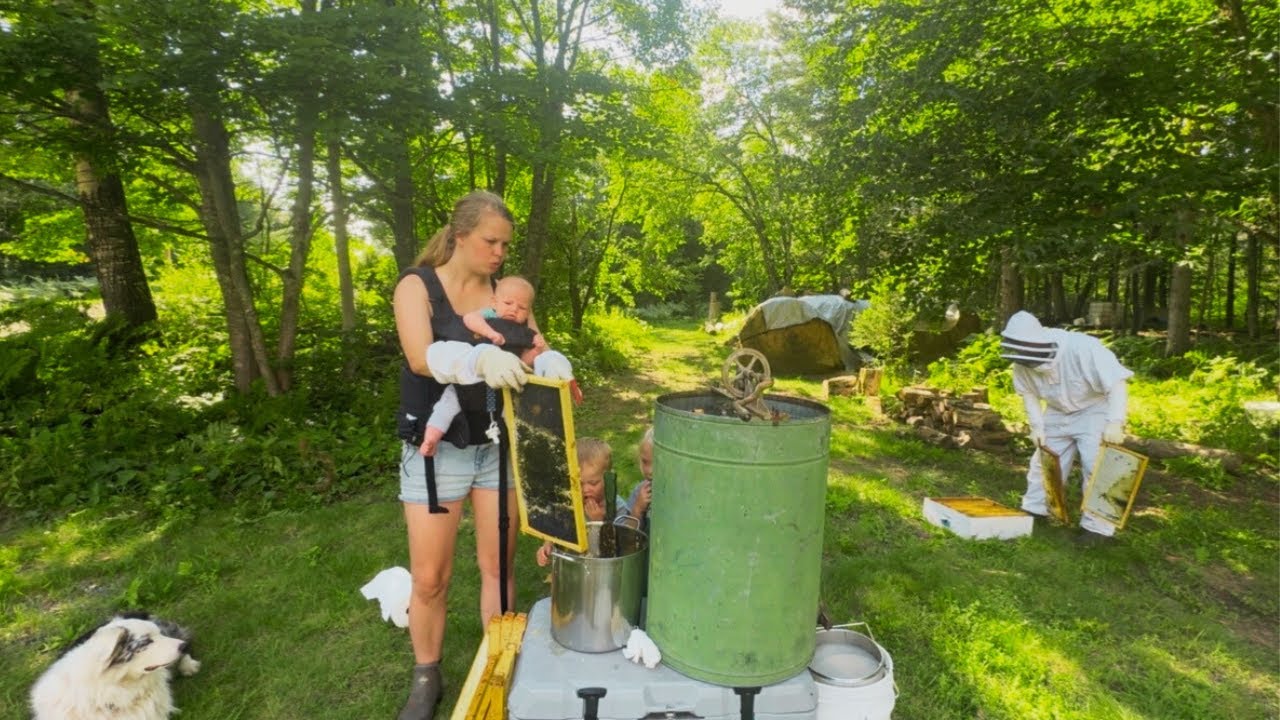 Harvesting Honey with Our Toddlers | Mushroom Hunting Adventure VLOG