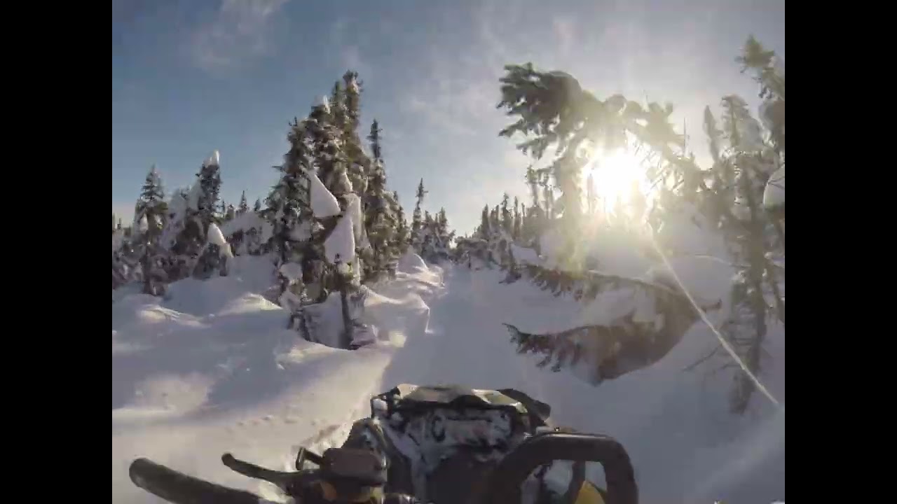 Winter Trail