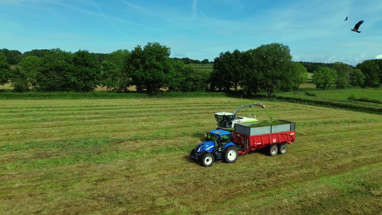 Ensilage d'herbe
