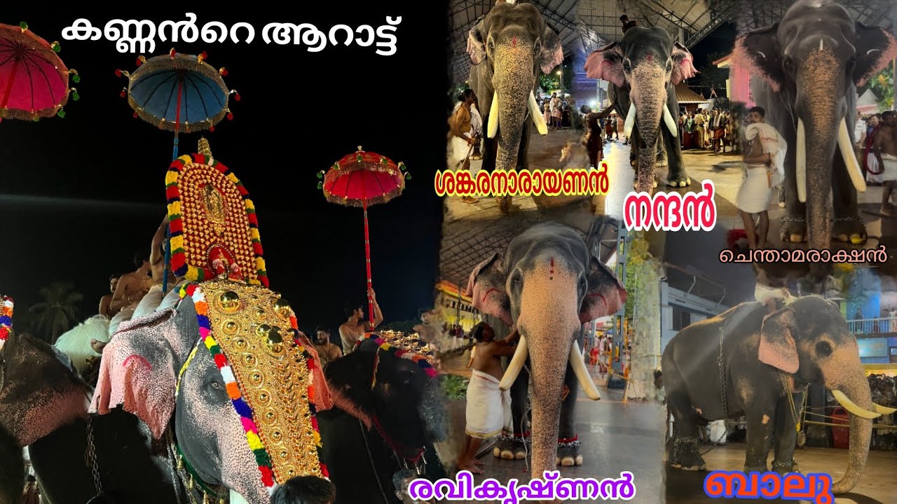 ഭഗവാൻറെ ആറാട്ടിന് ഗജവീരൻ നന്ദൻ തിടമ്പേറ്റിപുറത്തെഴുന്നള്ളും ശങ്കരനാരായണൻ ചെന്താമരാക്ഷൻ രവികൃഷ്ണ ബാലു