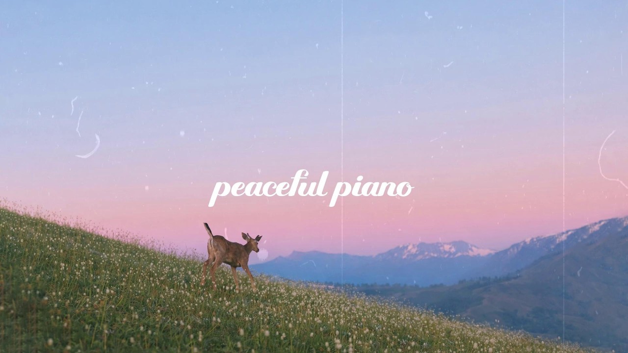 a playlist for a quiet morning ☘️🌿🌄