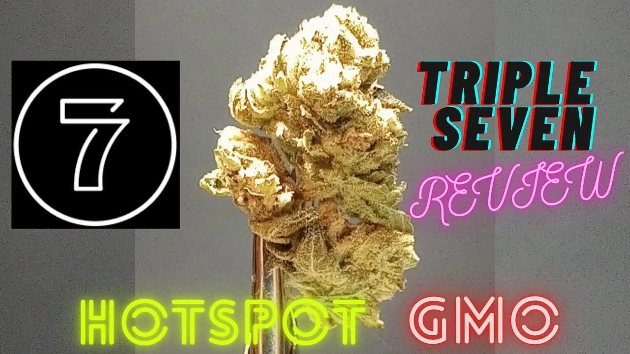 Triple 777 HotSpot GMO Flower Review
