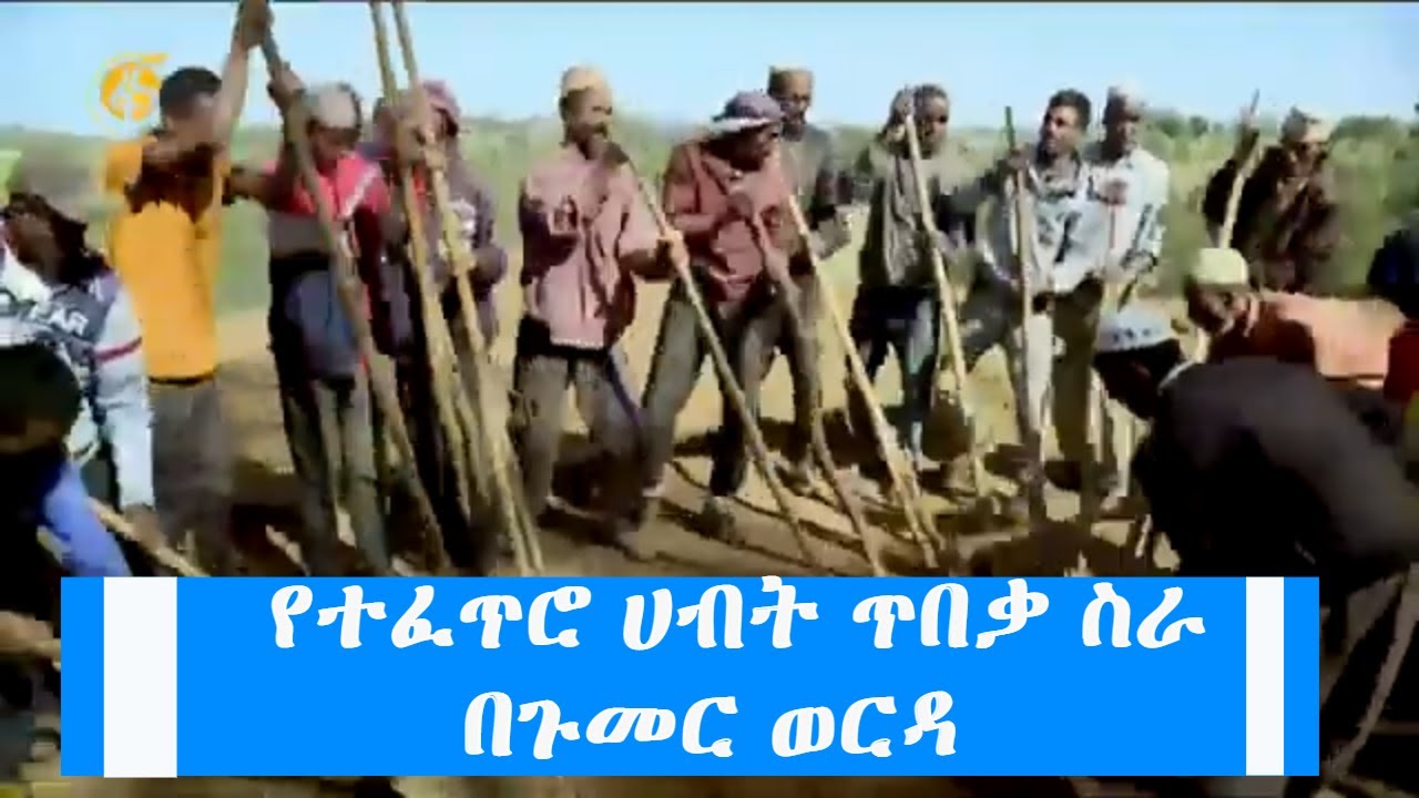 የተፈጥሮ ሀብት ጥበቃ ስራ በጉመር ወርዳ