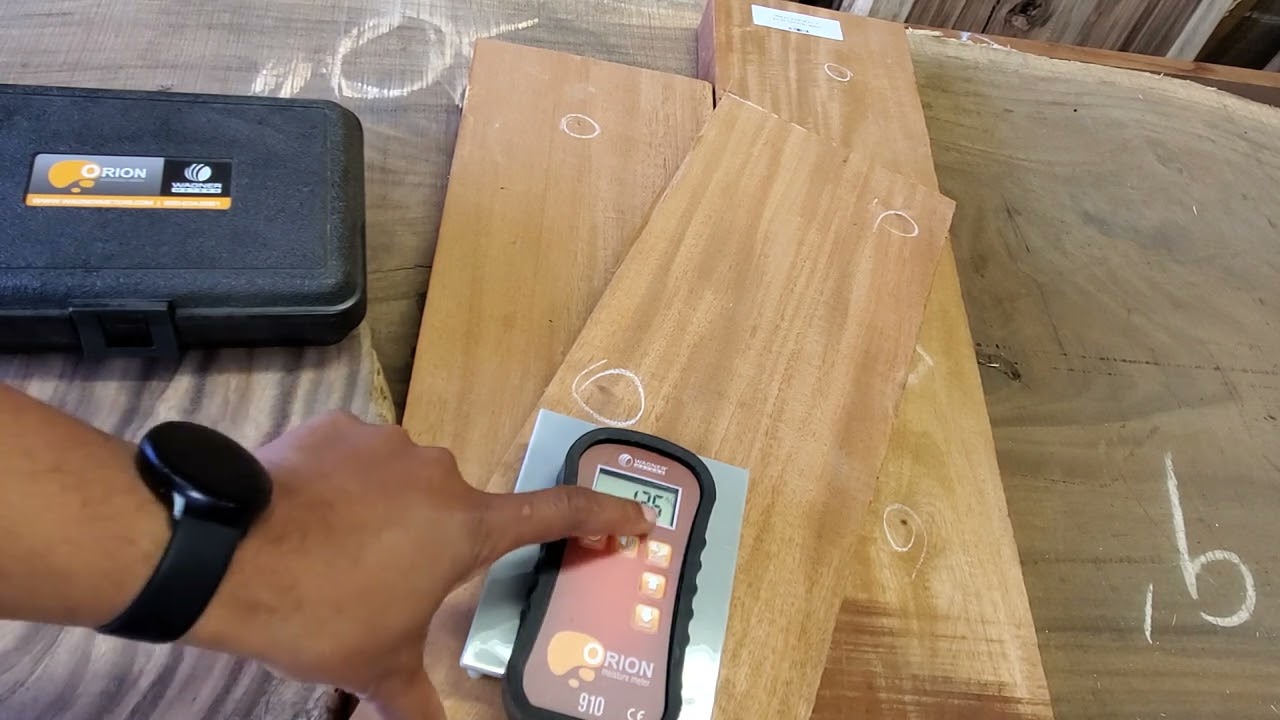 Wagner Orion 910 moisture meter, RF Fijian Monkeypod Moisture reading