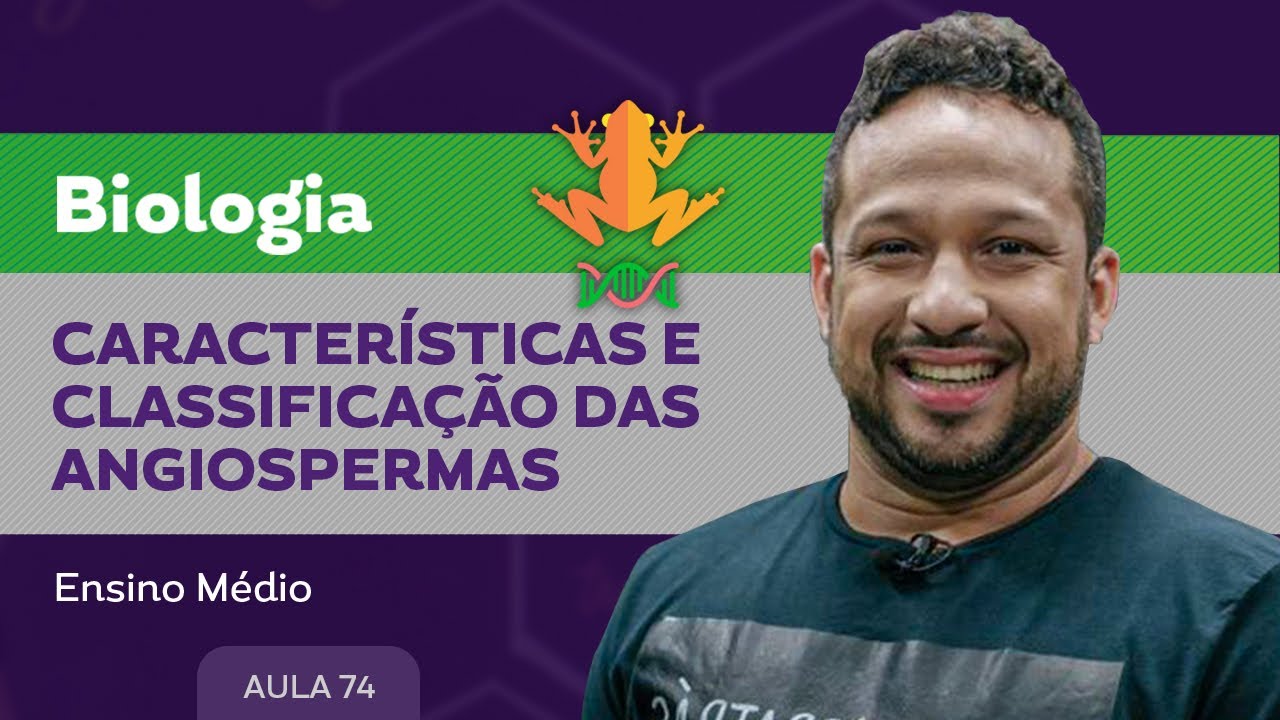 Caracter&iacute;sticas e classifica&ccedil;&atilde;o das angiospermas​ - Biologia - Ensino M&eacute;dio